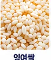 잉여쌀 원료